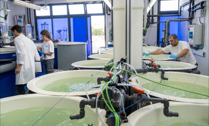 💦Evaluaremos tecnología innovadora para mejorar la calidad del agua en sistemas #RAS

👉mailchi.mp/7093765a3e26/n…

#acuicultura <a href="/APROMAR_acui/">APROMAR</a>
