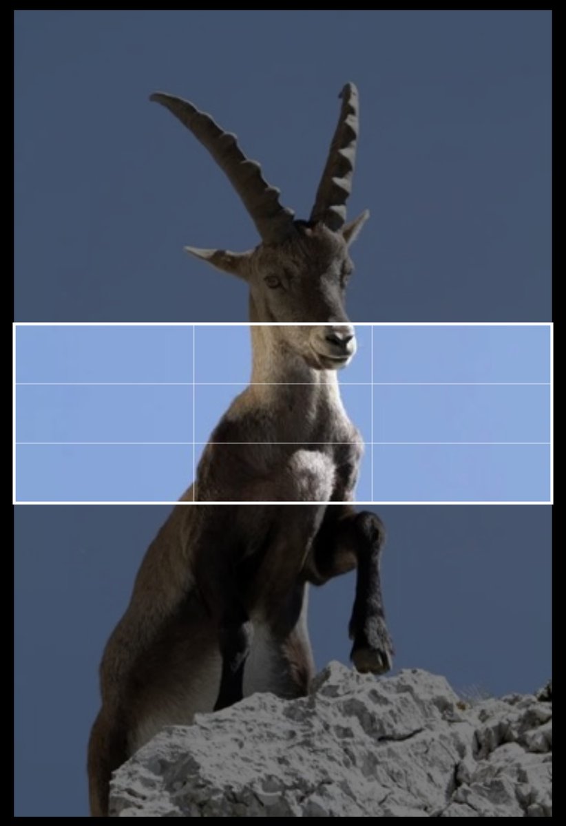 CeltaEnglish's tweet image. Anyone has a clue on how can I fit this in header?