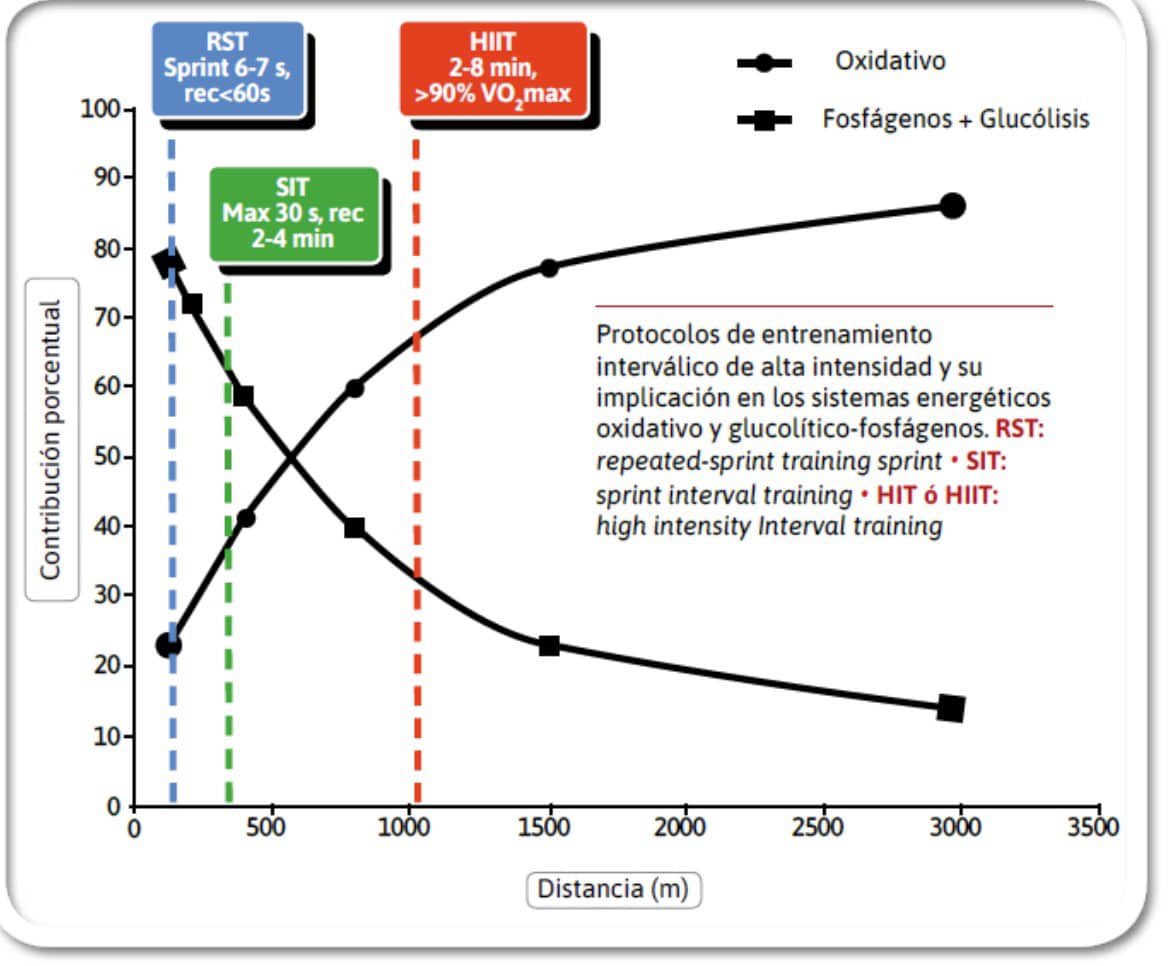 HIIT vs SIT

▶️ HIIT consigue mayor consumo de oxígeno.
⏩️ SIT implica lactato a raudales.

La gracia es que, cuando igualas la carga, las diferencias son mínimas.

Al final, depende de lo que a cada uno le guste sufrir.