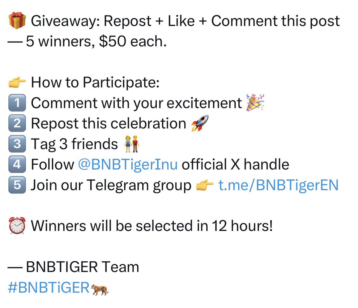 BNBTIGER tweet media