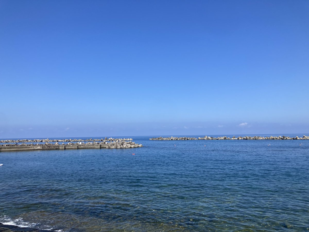 はま&パン tweet media