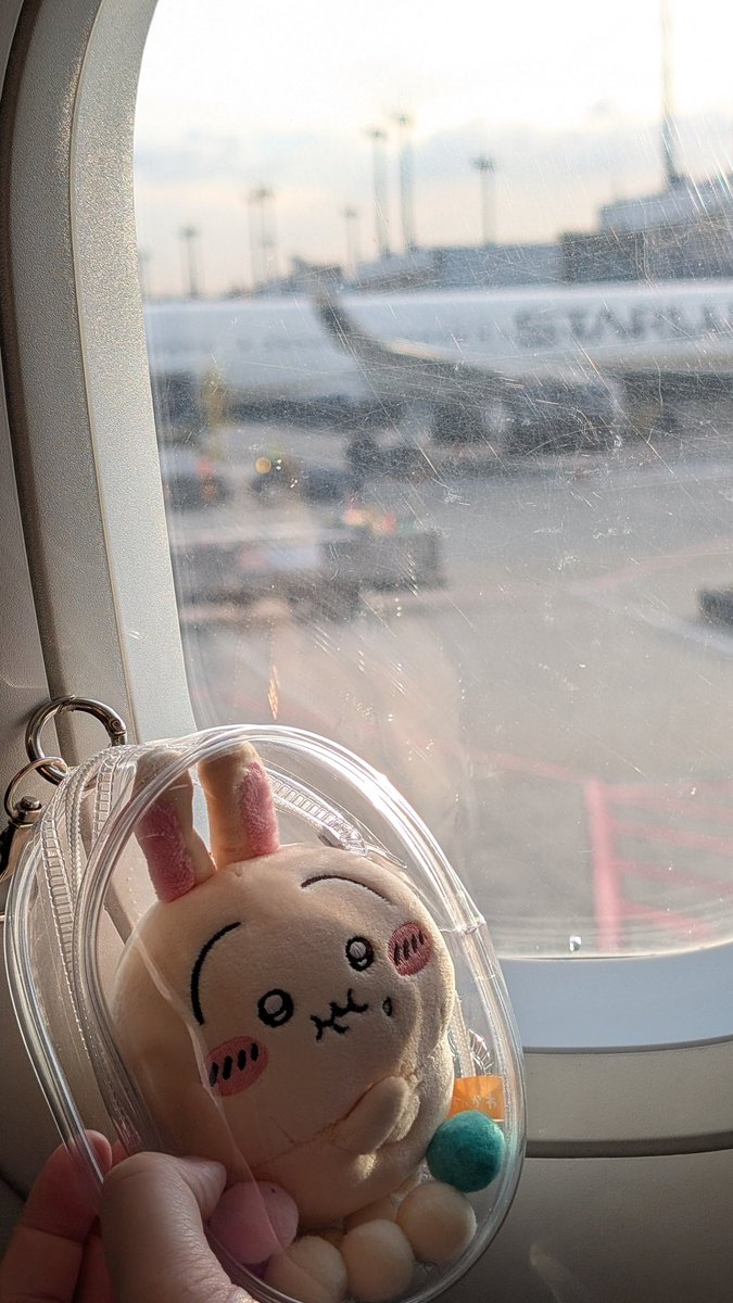 Elf_Spring's tweet image. 