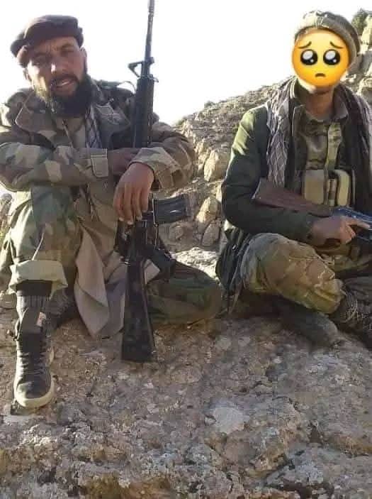 Azin Khurasani tweet media