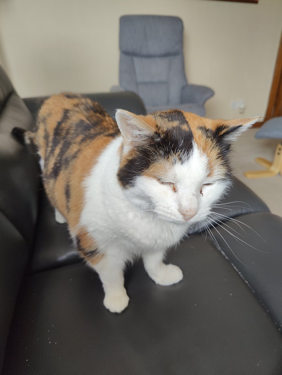 Alastair Campbell tweet media