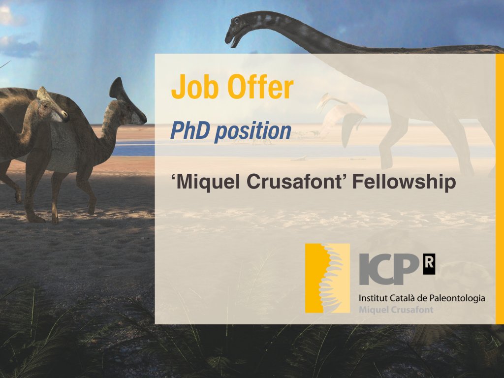 🚨 Looking for a PhD in vertebrate palaeontology or palaeoanthropology?

The Institut Català de Paleontologia Miquel Crusafont (ICP) is hiring a predoctoral researcher under the Miquel Crusafont Fellowship! 🦴✨

#PhD #Palaeontology #Fellowship #Researchjobs