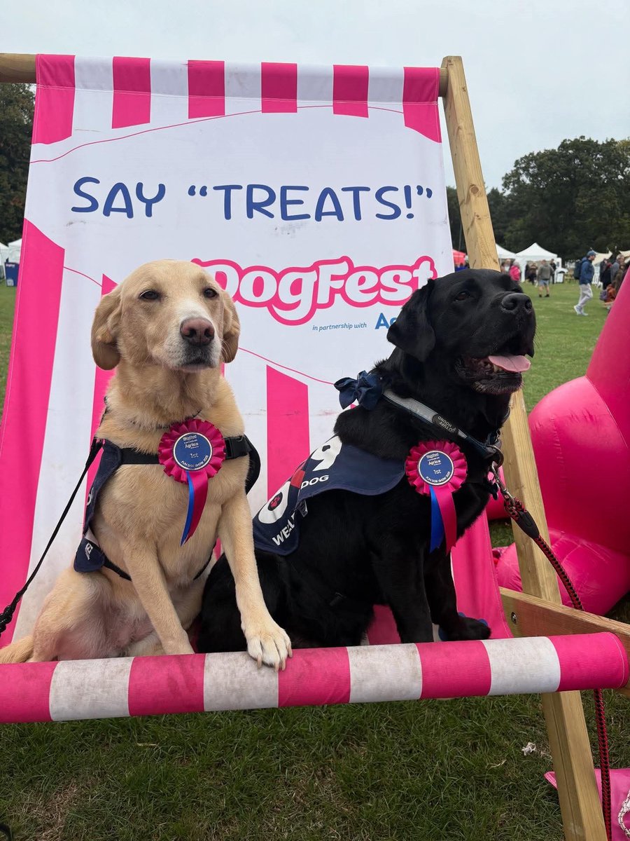 Our #OK9 Wellbeing Dogs Obi and Willow from <a href="/WestYorksPolice/">West Yorkshire Police</a> received a rapturous welcome at <a href="/DogfestUK/">DogFest</a> in Leeds!  The judges and audience loved how they support Police and they won 🏆 in their categories. They showed there is still a lot of public support for Police!!! 💙🙌👍🐾
