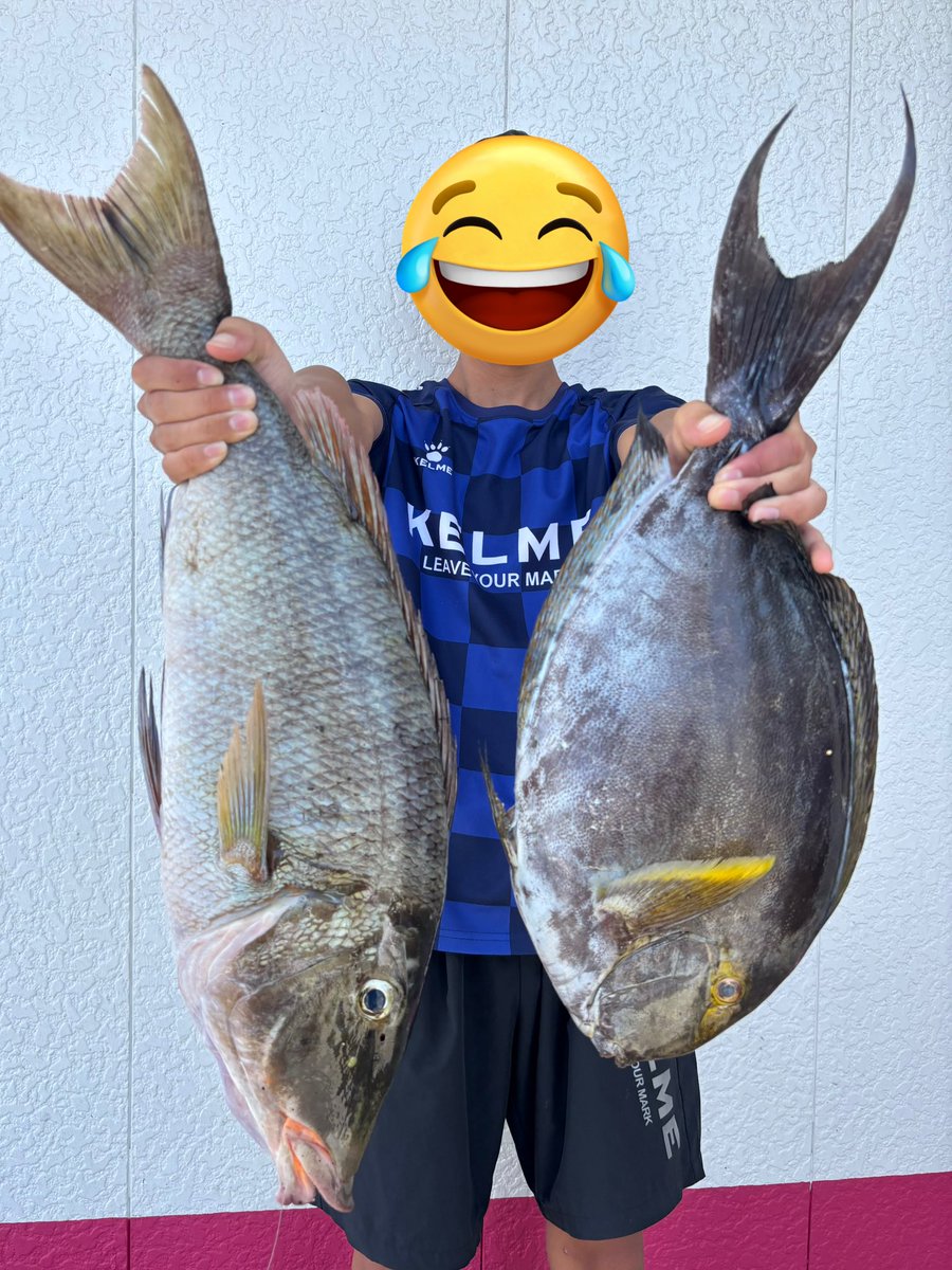 久しぶりに負けた。笑
ウムナガー65センチ　2.9キロ
竿マスターモデルⅡ尾長Hに道糸4ハリス5針10号
地形荒くて道糸ハリスぼろぼろなのによく獲れたさすがマスター😂

#マスターモデル尾長