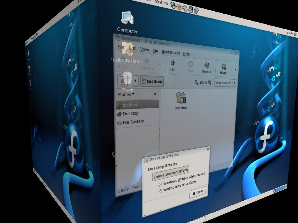 Linux desktop Compiz fusion