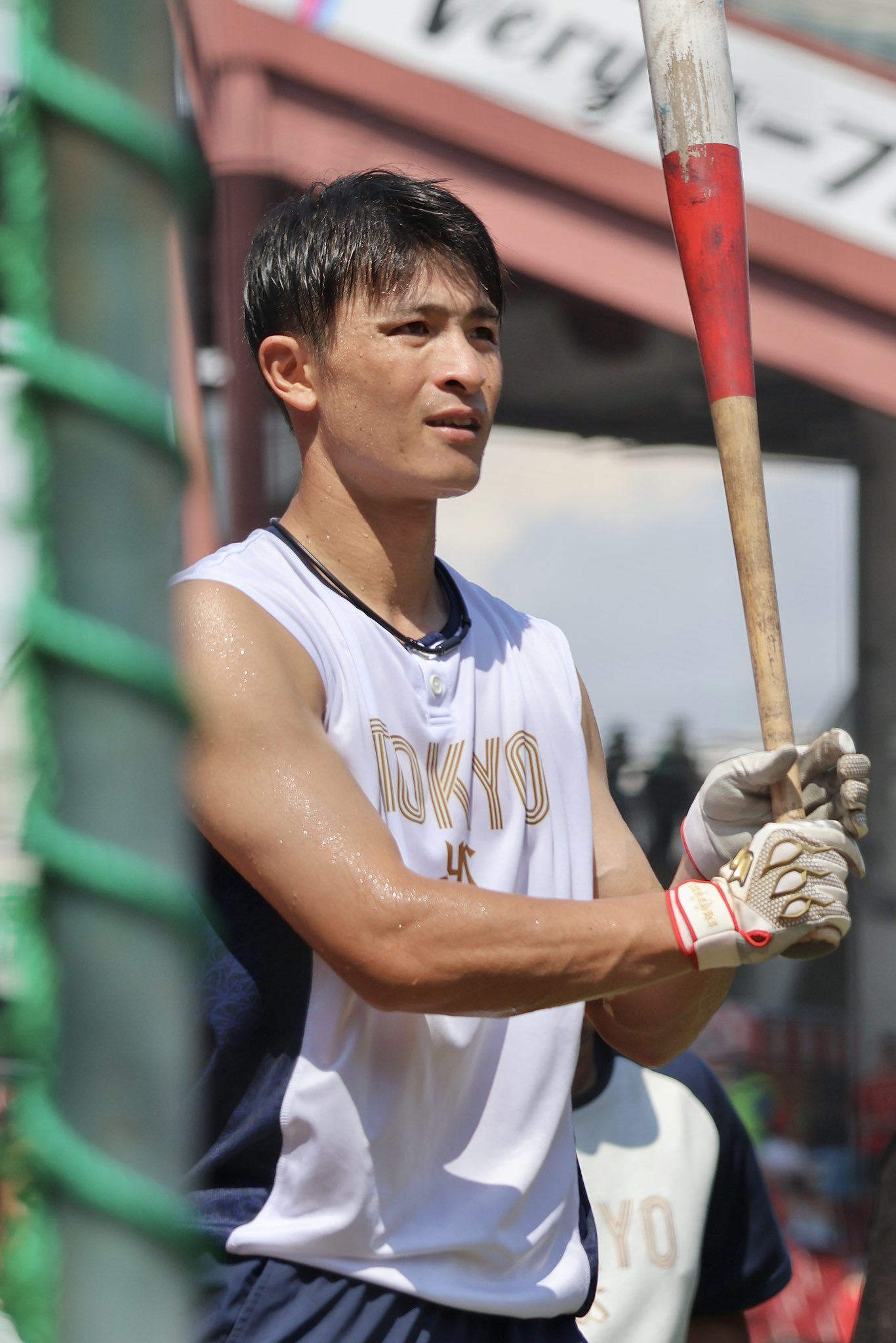 ヤクルトスワローズ　ヤクルト宮本丈　サインバット　実使用 ヤクルトスワローズ 宮本丈 使用 バット 東京ヤクルトスワローズ