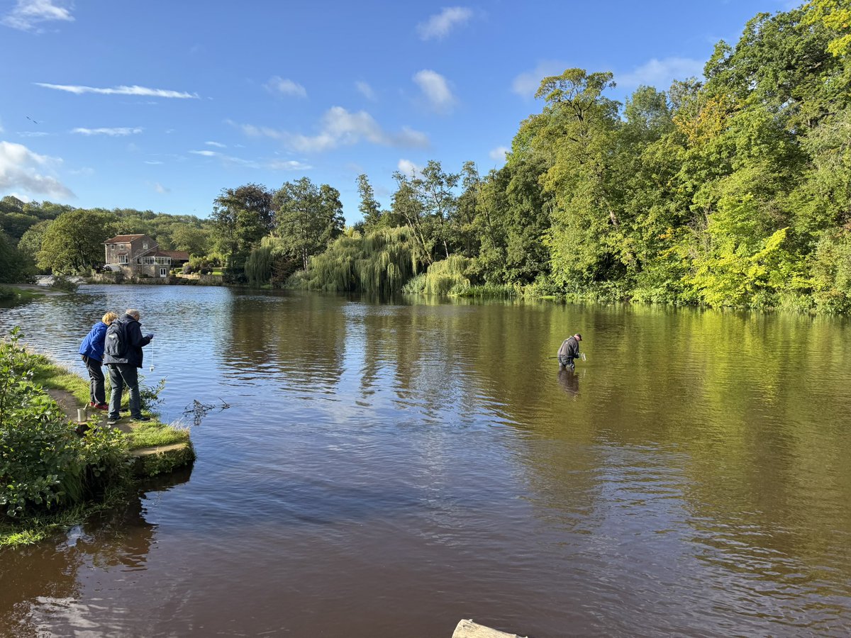 John_Wilkinson4's tweet photo. Off to a great start today with the paired @YorkEnvironment #AQuA project and @EnvAgency citizen science E. Coli validation study at Knaresborough Lido! Stay tuned for updates! https://t.co/DNFADKbO1v