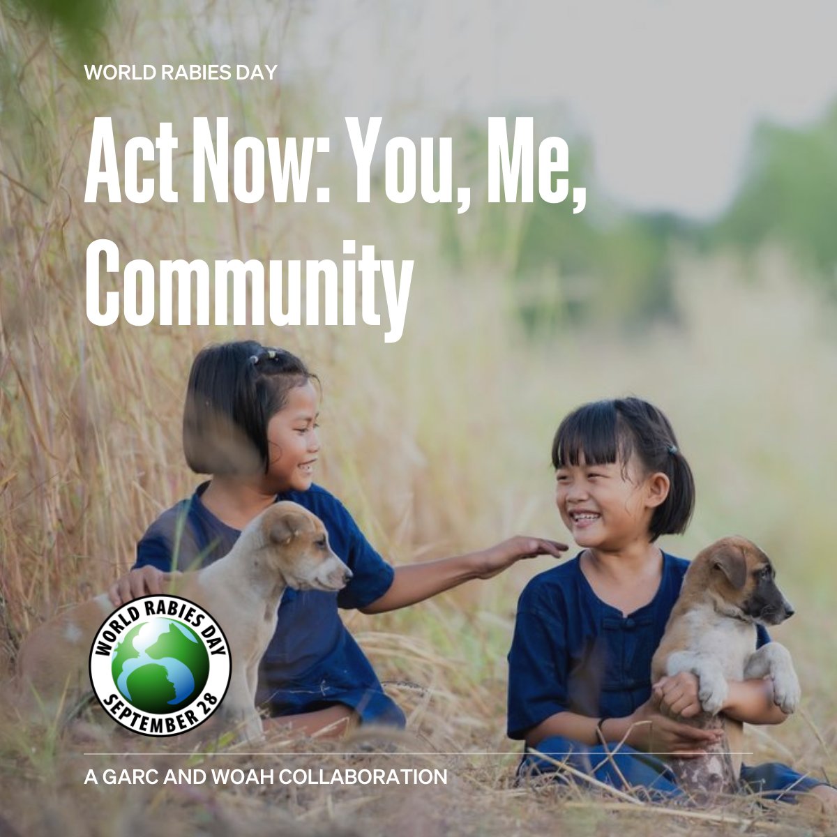 World Organisation for Animal Health tweet media