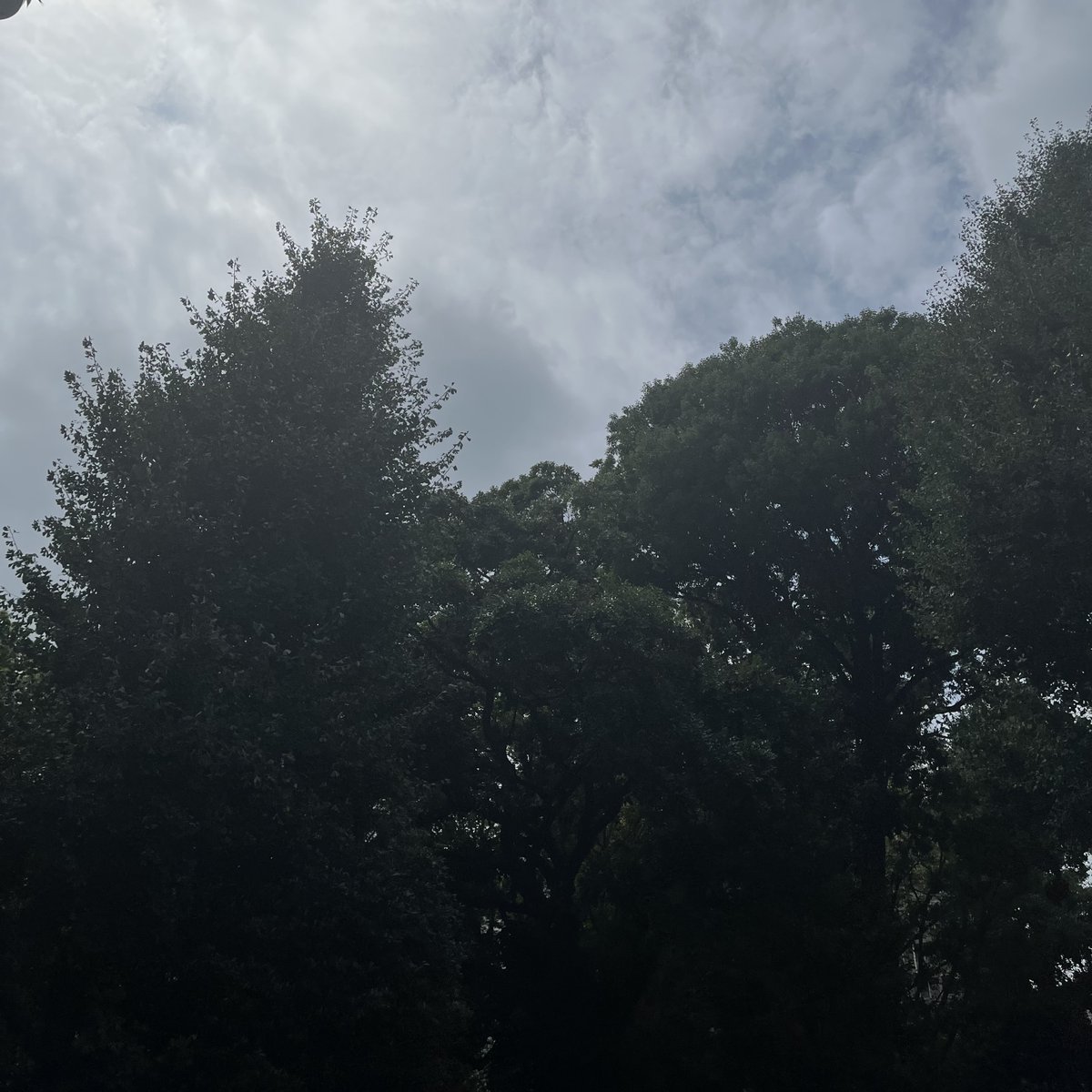 元自衛官🫡ティラノ伍長🦖 tweet media