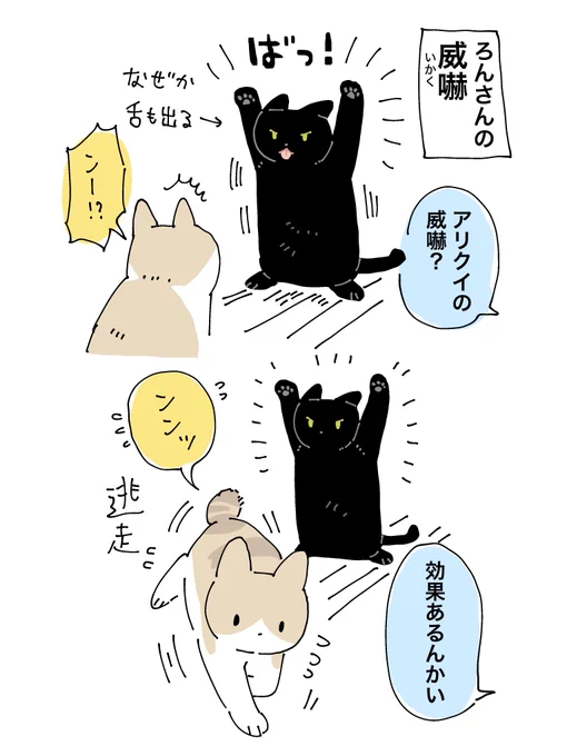 ぽろんさんまとめて GtZ3Wt1agAA5GXt.jpg