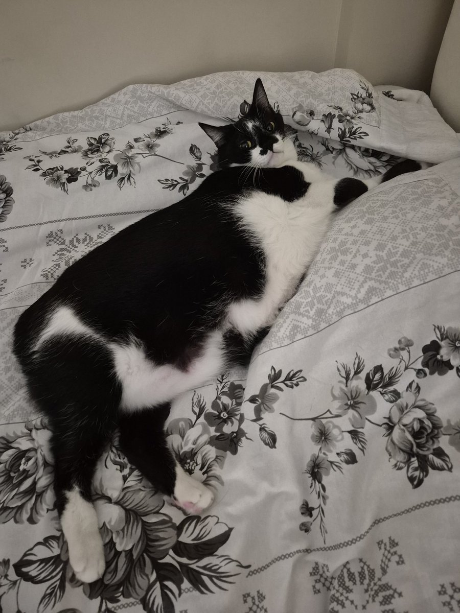 i dont think ive ever felt this comfy before, good for her