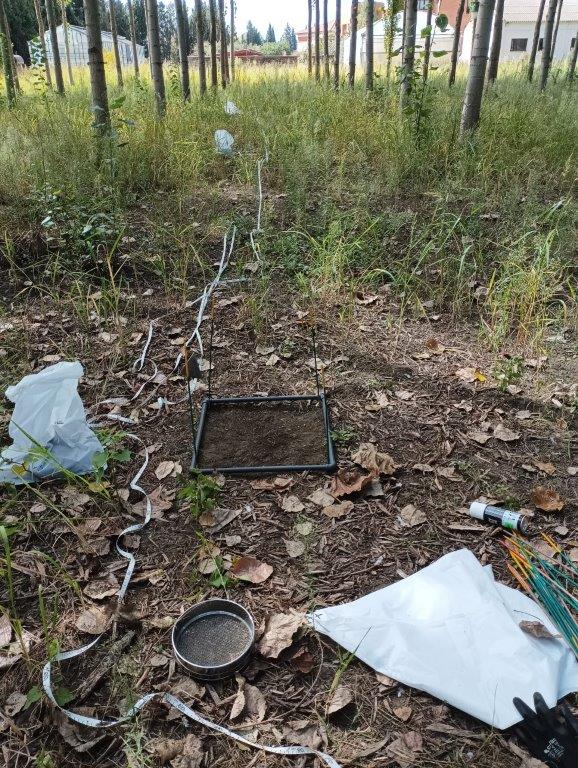 LIFE Wood for Future tweet media