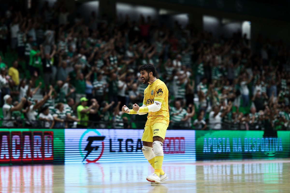 Bernardo Paçó tweet media