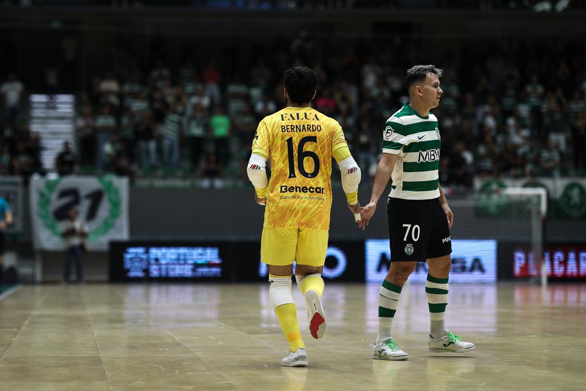 Bernardo Paçó tweet media