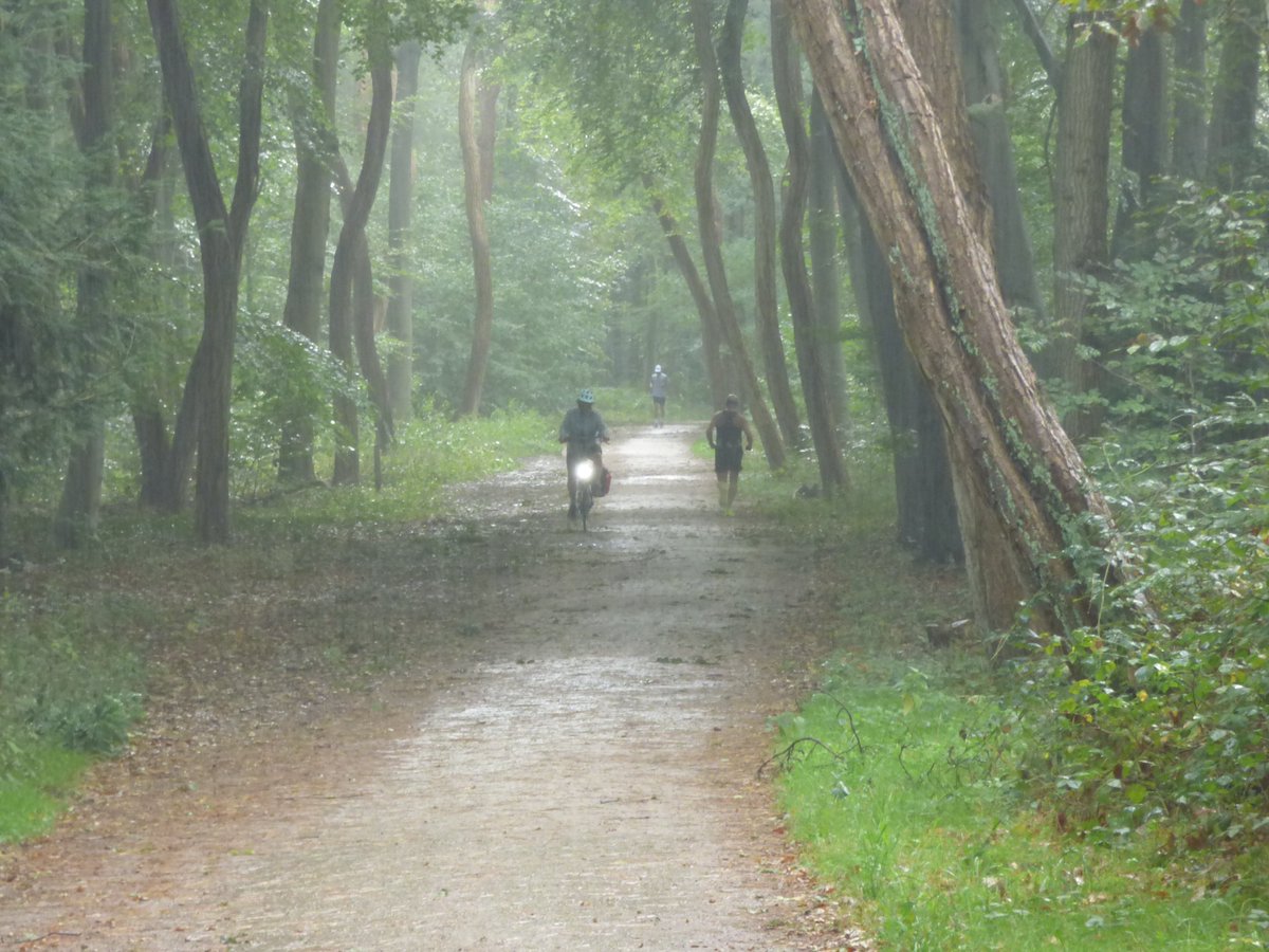 Regen, wind en zon! Ik heb het allemaal gehad vanmorgen in @Hilversum. Genoten!

<a href="/marjondehond/">Marjon de Hond</a> <a href="/WilliamHuizinga/">William Huizinga</a> <a href="/weeronline/">Weeronline</a>
<a href="/weermanrobert/">➡️ Robert de Vries</a> <a href="/onwukaa/">Amara Onwuka</a> <a href="/weerverteller/">Weerverteller.nl</a>
<a href="/pictureofNL/">Mooi Nederland 🇳🇱</a> <a href="/BuienRadarNL/">Buienradar</a> <a href="/helgavanleur/">Helga van Leur ☀</a>
<a href="/Oogophilversum/">Oog Op Hilversum</a> <a href="/HartvNL/">Hart van Nederland</a> <a href="/janvissersweer/">JAN VISSER</a> <a href="/EdAldus/">Ed Aldus</a>