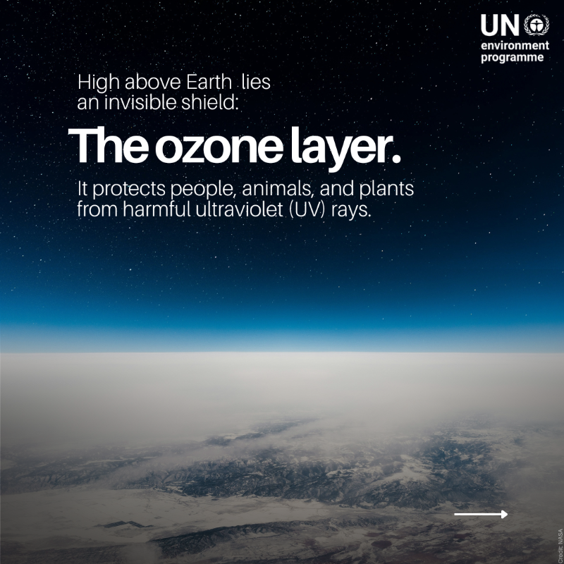 UNEP's tweet photo. One global pact quietly changed the course of our planet’s future.

Not only did it help heal the ozone layer, but it’s also reversing the impacts of climate change.

Wondering how? Our article explains: https://t.co/1u00MRVsjP #WorldOzoneDay
