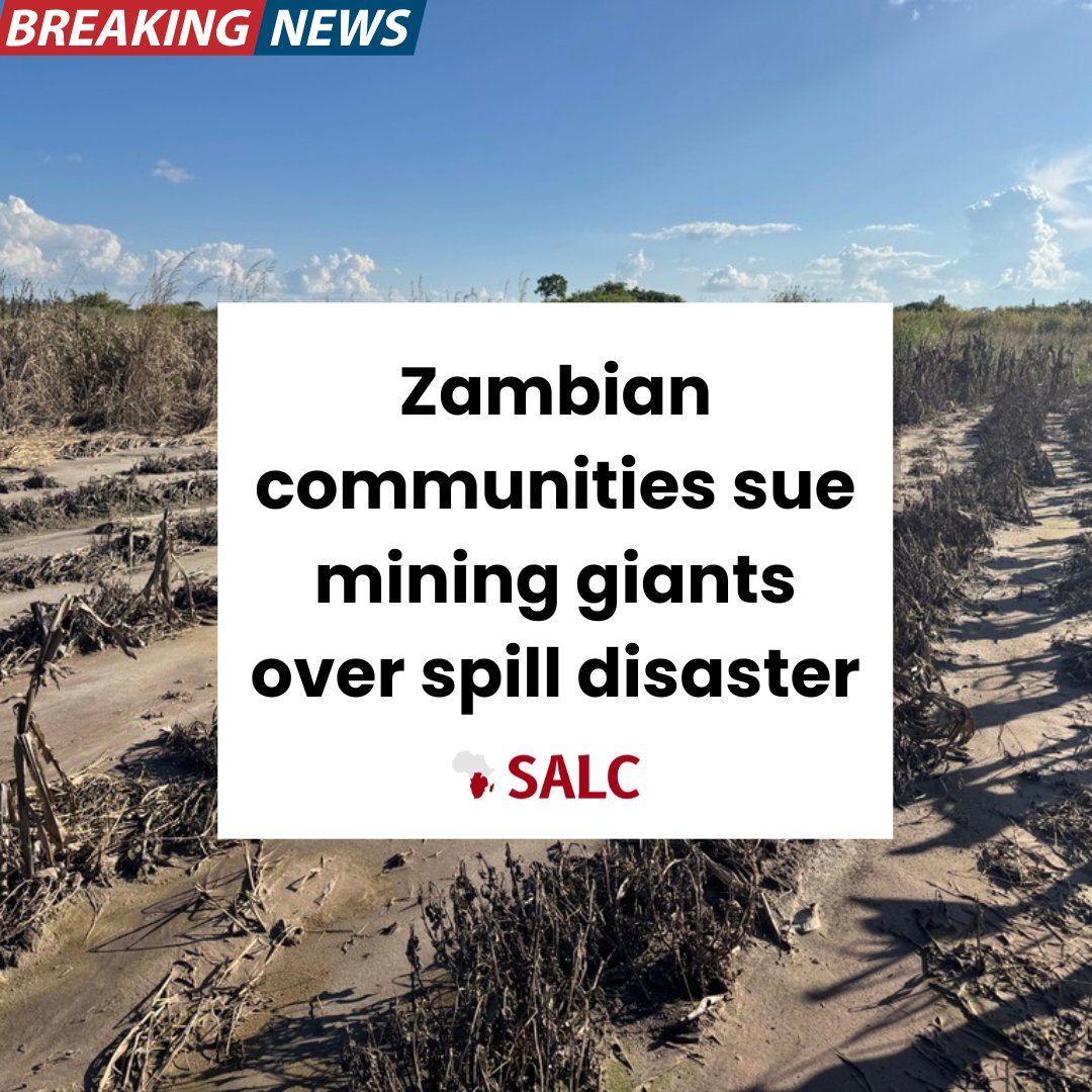 Follow_SALC's tweet image. On 12 September 2025, 176 residents of #Kalusale, #Chambishi, in #Zambia’s Copperbelt province, launched a landmark case in the High Court of Zambia against Sino Metals Leach Zambia Limited and NFC Africa Mining Limited, with the support of SALC. 

The petition seeks…