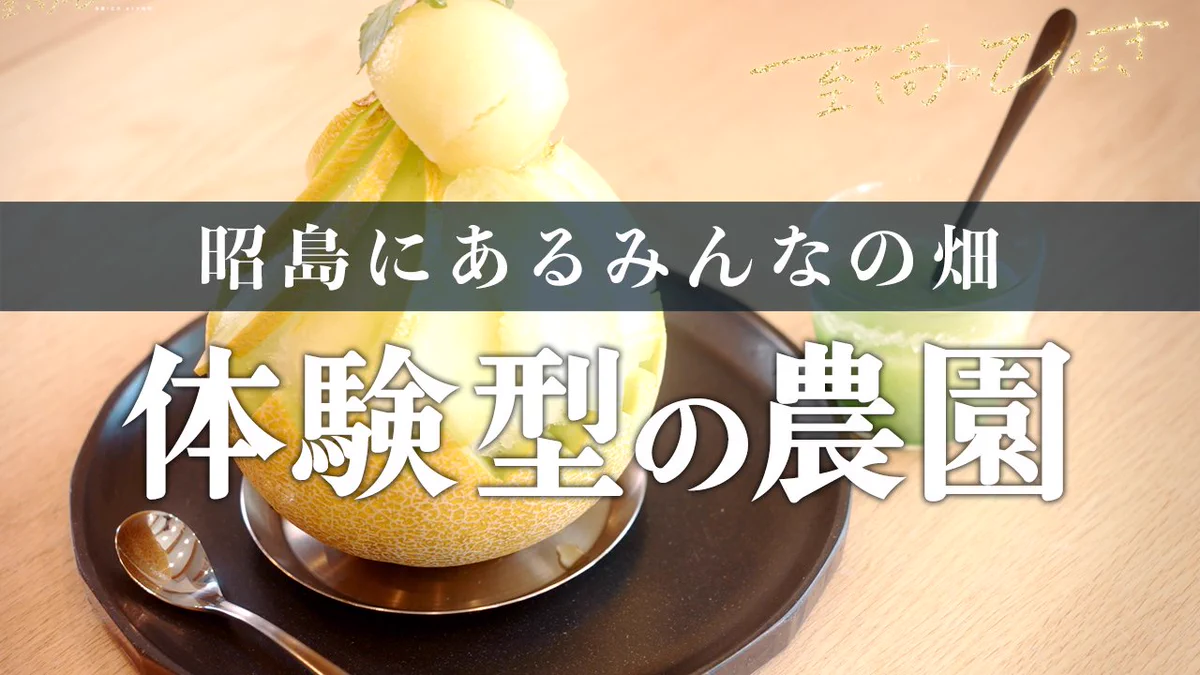 至高 の 時