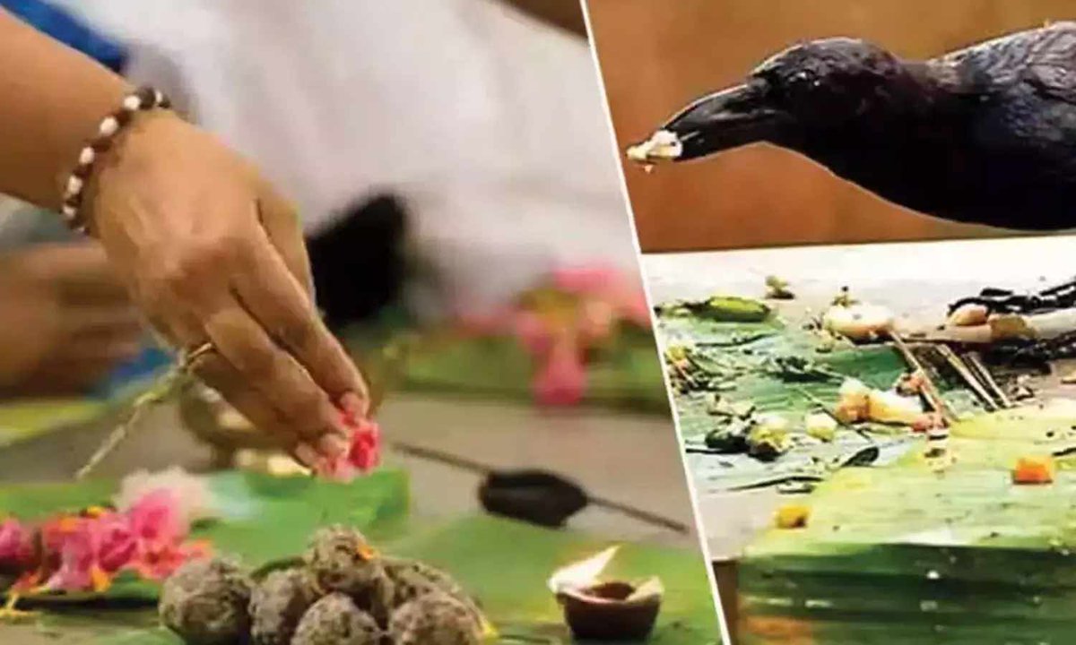 maalaimalar's tweet photo. Mahalaya amavasai அன்று இவர்களை நினைவு கூறி தர்ப்பணங்களை செய்யலாம்

https://t.co/CBbLq1ANkW

#MMNews #Maalaimalar #mahalayaamavasai #amavasai #spirituality #worship #pitrupuja https://t.co/fj5mk5XDf1