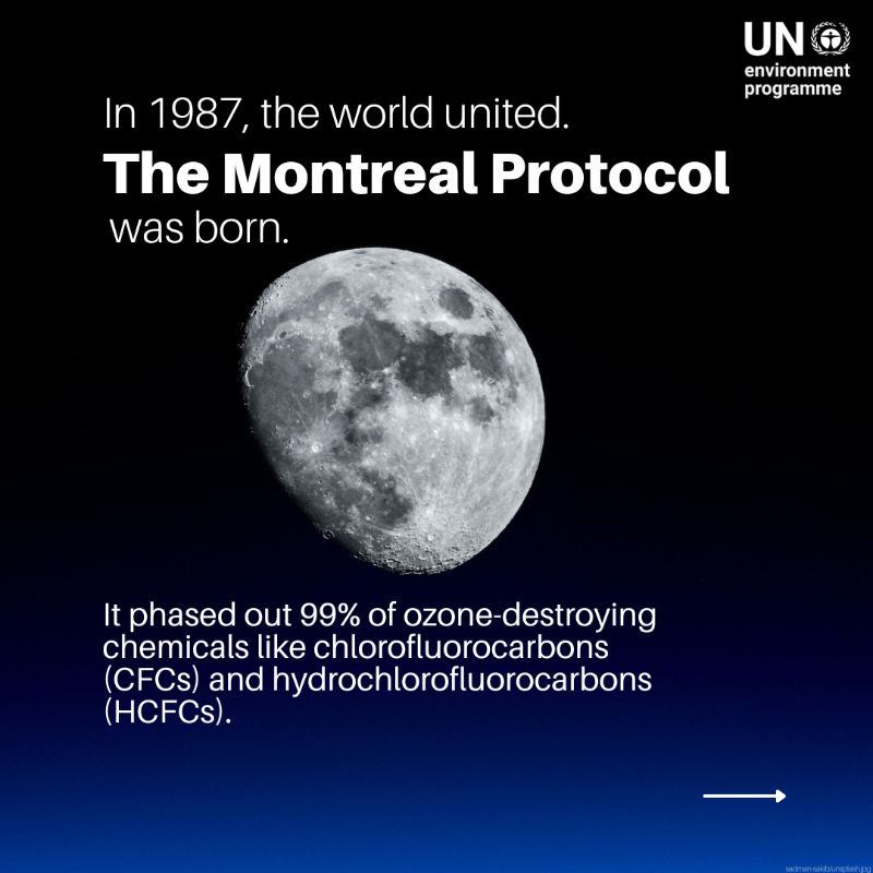 UNEP's tweet photo. One global pact quietly changed the course of our planet’s future.

Not only did it help heal the ozone layer, but it’s also reversing the impacts of climate change.

Wondering how? Our article explains: https://t.co/1u00MRVsjP #WorldOzoneDay