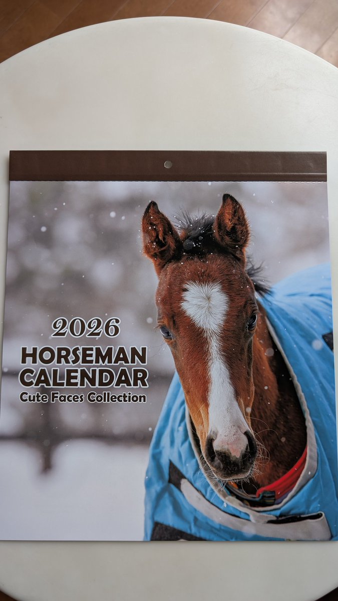 サラブレッド血統センター (@Thoroughbred_PC) / Posts / X