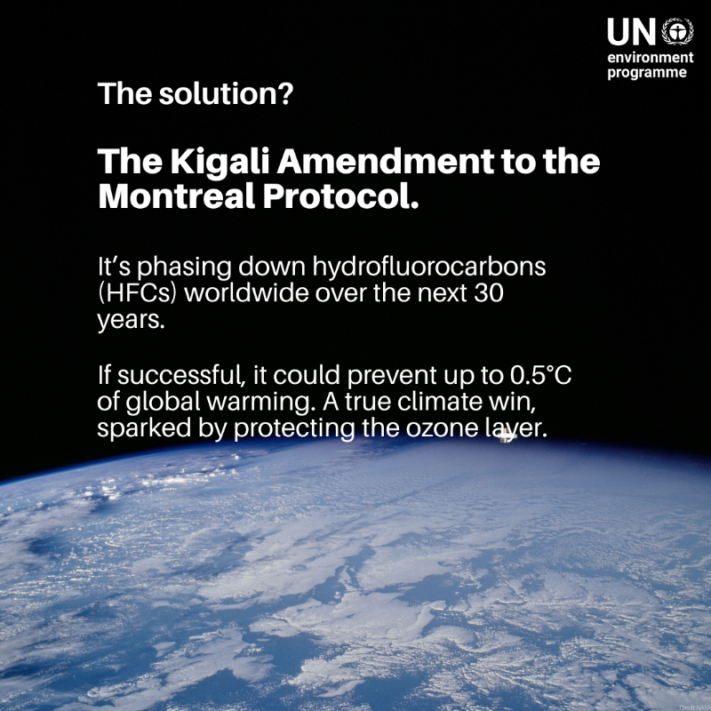 UNEP's tweet photo. One global pact quietly changed the course of our planet’s future.

Not only did it help heal the ozone layer, but it’s also reversing the impacts of climate change.

Wondering how? Our article explains: https://t.co/1u00MRVsjP #WorldOzoneDay