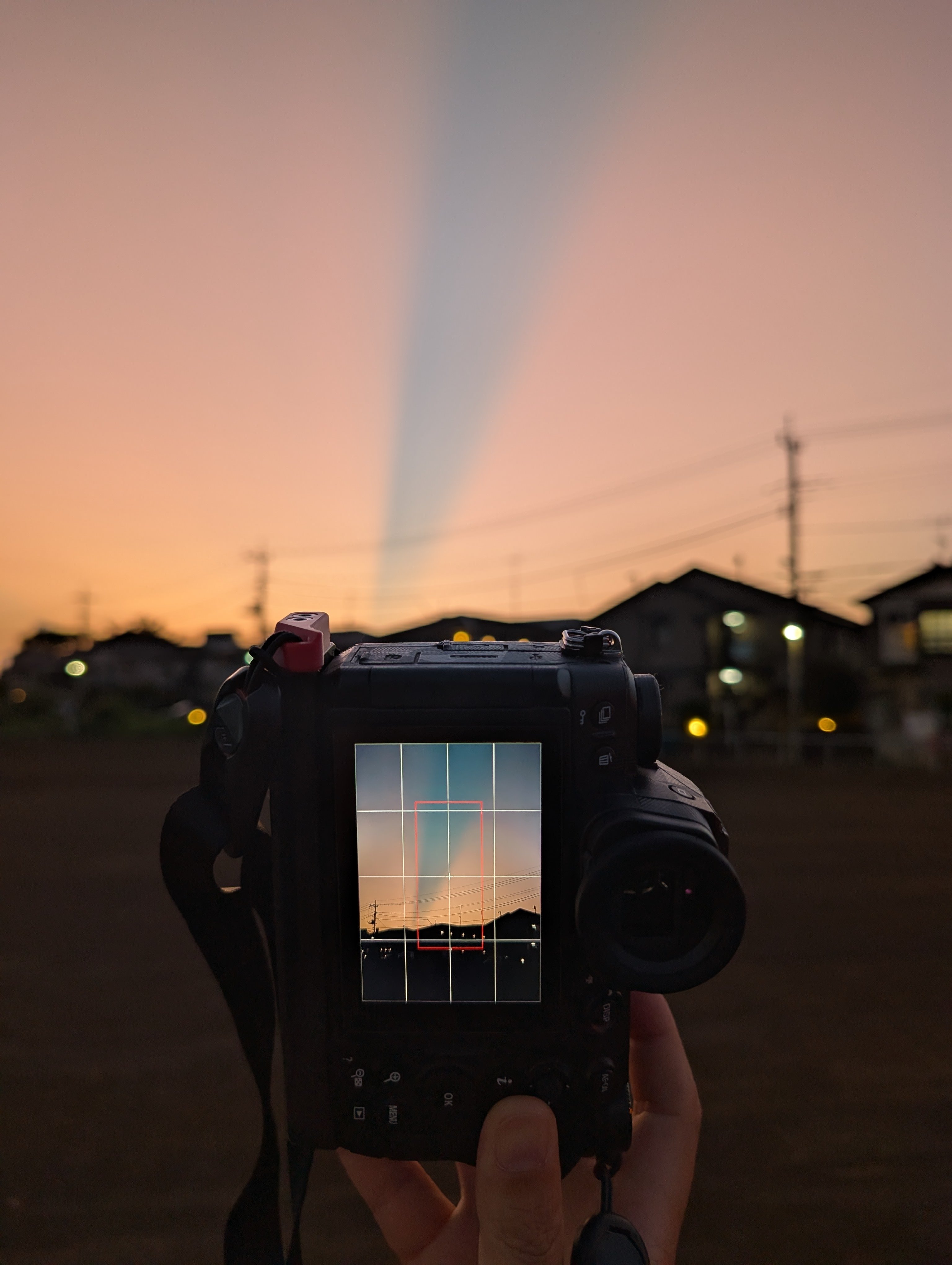foxfoto (@Fox_now) / X