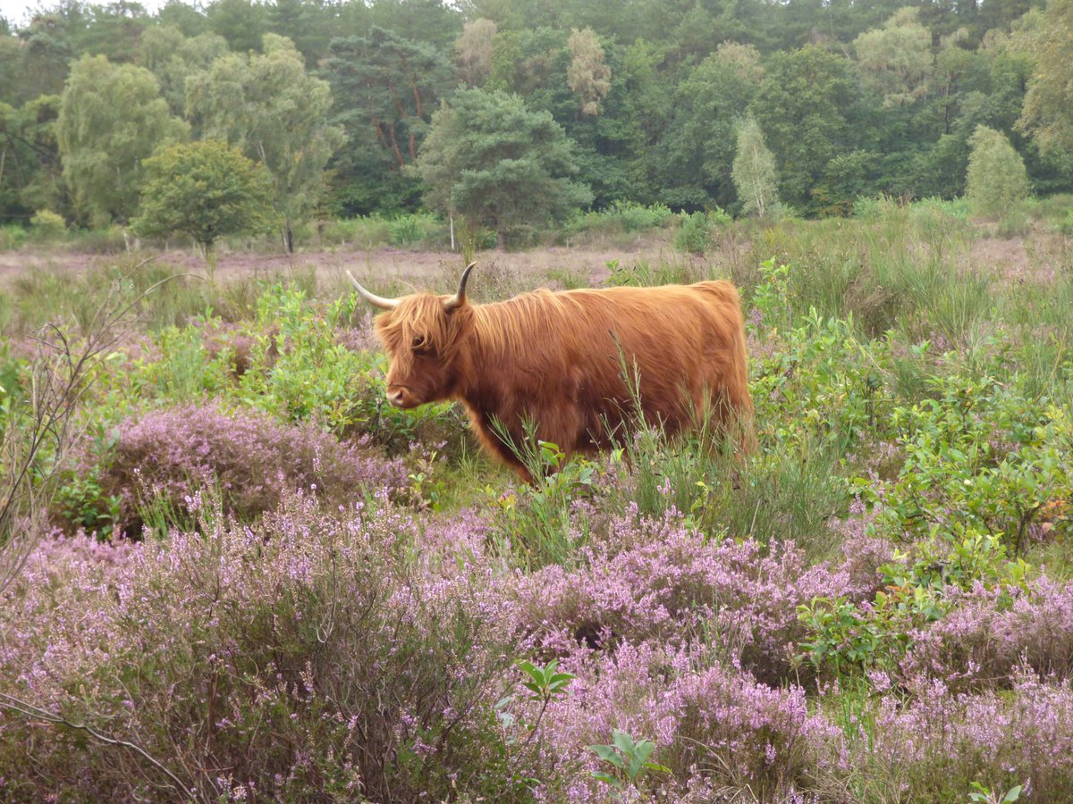 Regen, wind en zon! Ik heb het allemaal gehad vanmorgen in @Hilversum. Genoten!

<a href="/marjondehond/">Marjon de Hond</a> <a href="/WilliamHuizinga/">William Huizinga</a> <a href="/weeronline/">Weeronline</a>
<a href="/weermanrobert/">➡️ Robert de Vries</a> <a href="/onwukaa/">Amara Onwuka</a> <a href="/weerverteller/">Weerverteller.nl</a>
<a href="/pictureofNL/">Mooi Nederland 🇳🇱</a> <a href="/BuienRadarNL/">Buienradar</a> <a href="/helgavanleur/">Helga van Leur ☀</a>
<a href="/Oogophilversum/">Oog Op Hilversum</a> <a href="/HartvNL/">Hart van Nederland</a> <a href="/janvissersweer/">JAN VISSER</a> <a href="/EdAldus/">Ed Aldus</a>