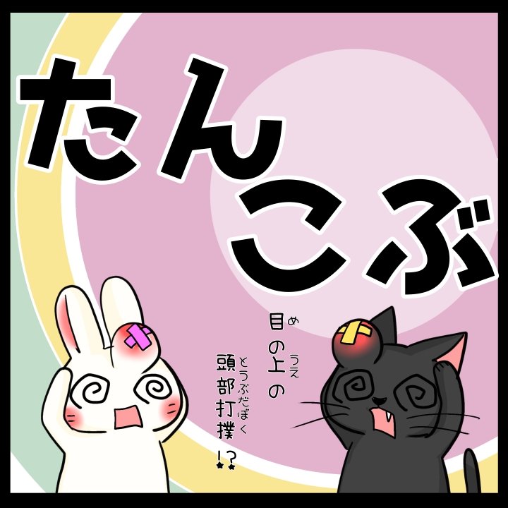 たんこぶページ side-gore sneaker – wjk online store