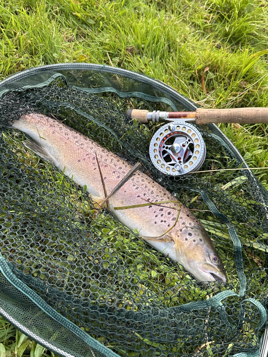 Perspicuous Health - Active Health Matters tweet media