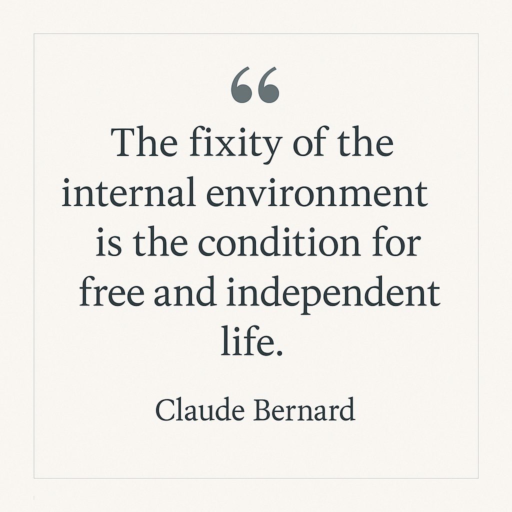 JC Katte tweet media