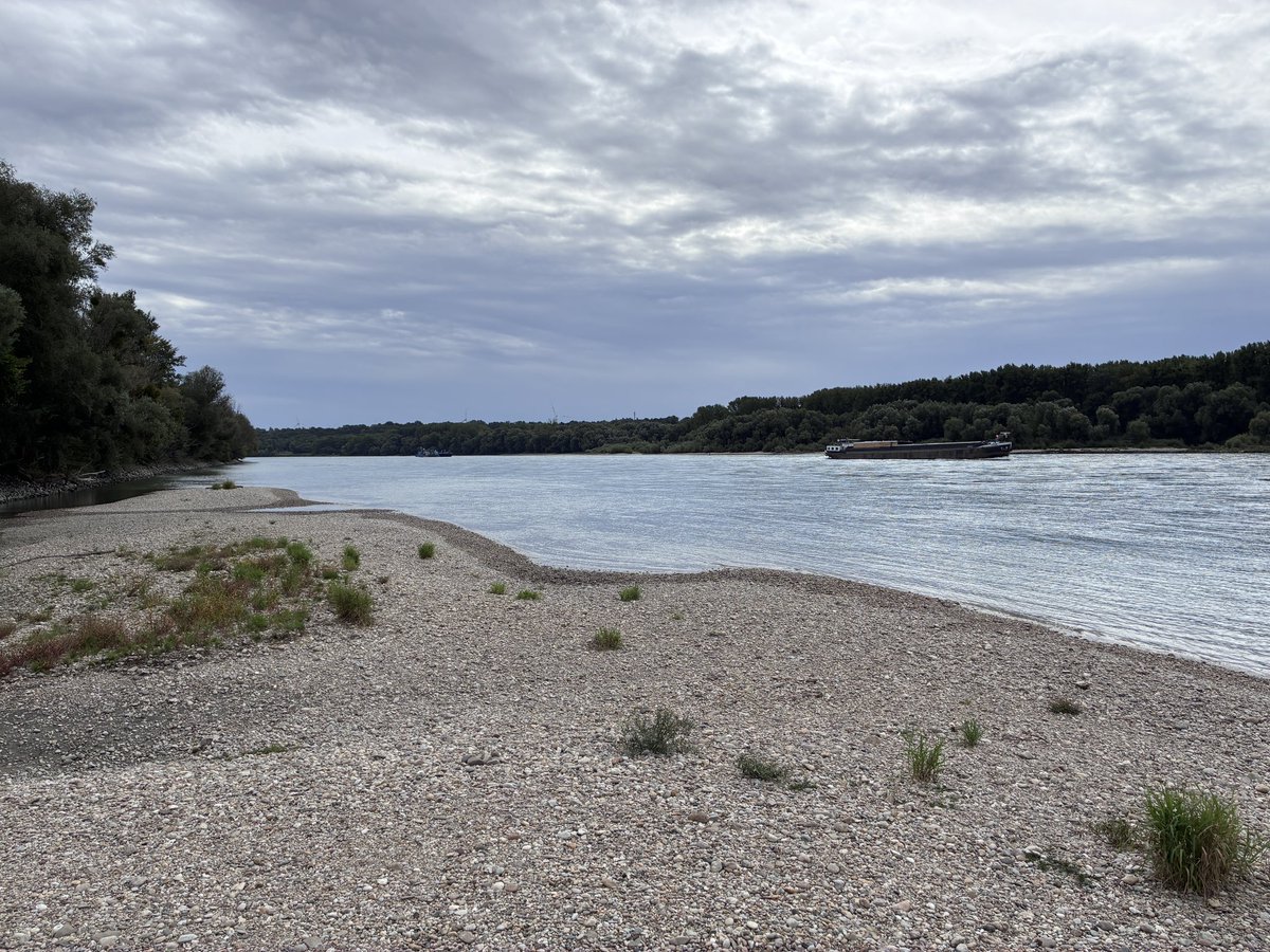 Markus Huber tweet media