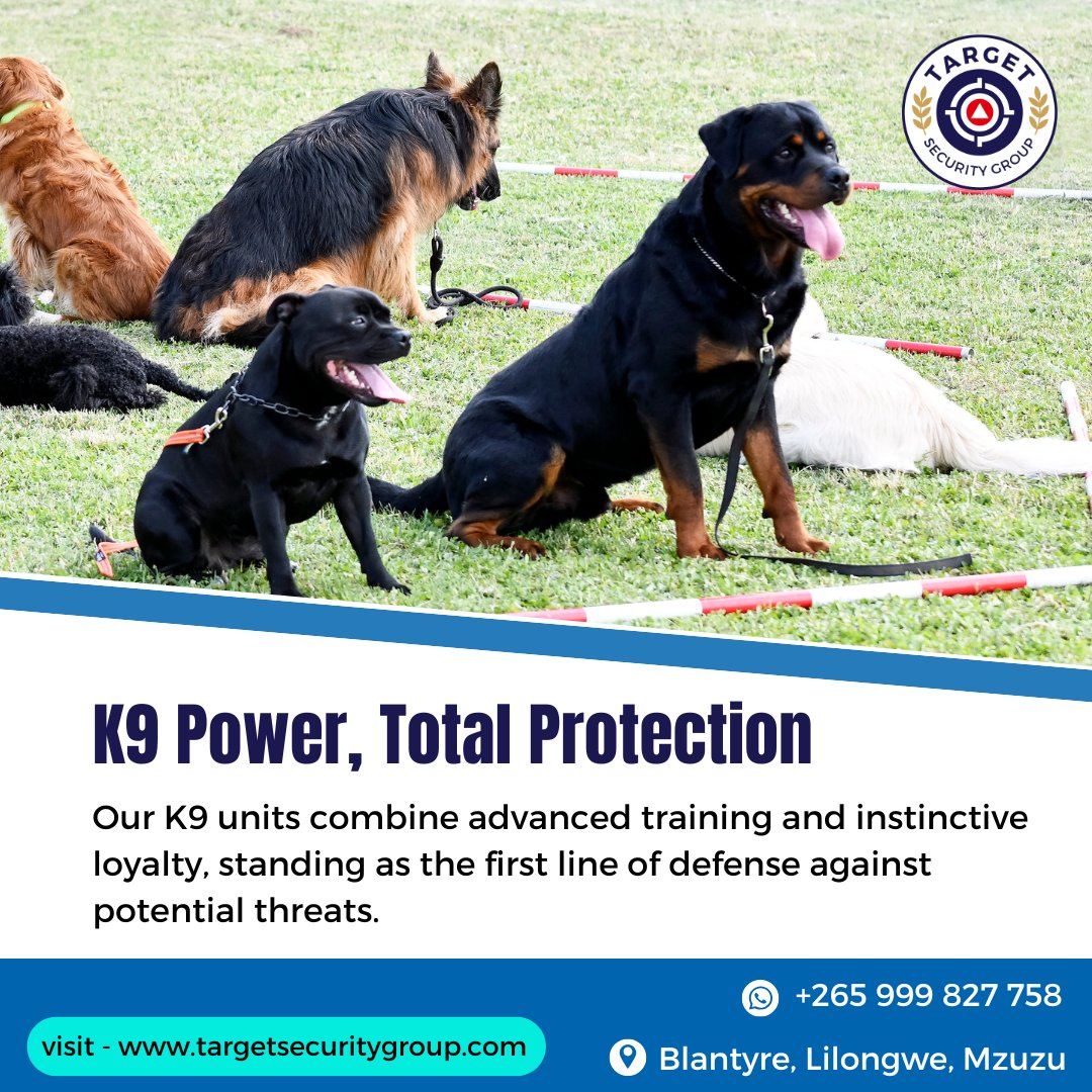 With exceptional detection skills and unwavering loyalty, our K9 team ensures the highest level of defense against any threat.
.
Visit - targetsecuritygroup.com
Dm us on WhatsApp: +265 999 827 758

#malawi #Security