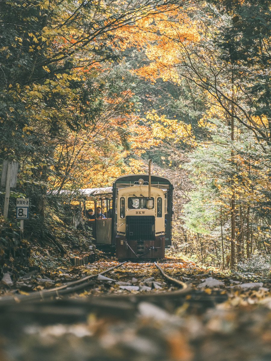 秋を運ぶトロッコ列車𓂃 𓈒𓏸