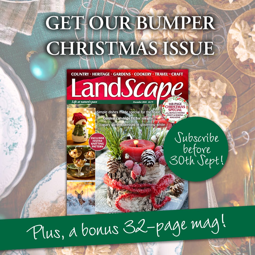 Hurry there's not long left!!
Subscribe to LandScape magazine before 30th September to receive the Christmas bumper issue. PLUS, get a bonus 32-page mag full of Christmas recipes and crafts. 🎄🌟
Click here: bit.ly/4mKtosd