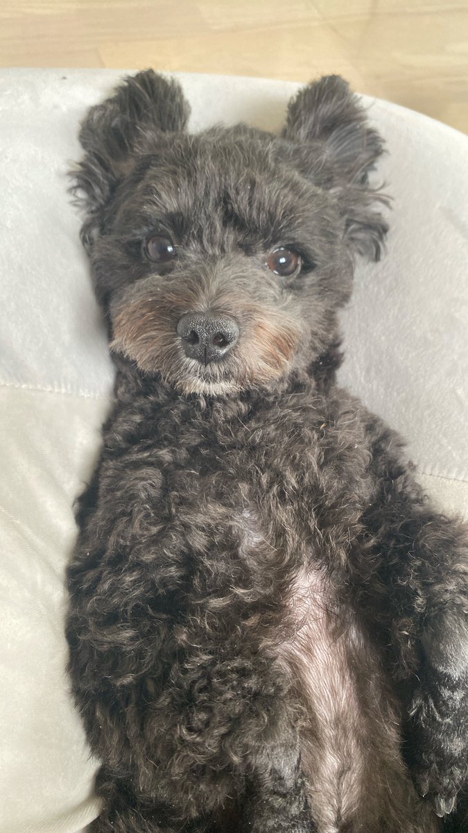 甥っ子君から風邪をもらってしまった彼女さん（コロナ陰性）🤧
38度もあるのに「今週は忙しくて休めない」と今朝は出張に行ってしまい、とても心配だったけど無事に帰ってきてくれて一安心😖
家では何もせず休んでもらう以外私には何もできないので、せめて彼女さんの大好きな蓮根饅頭を作りました😌