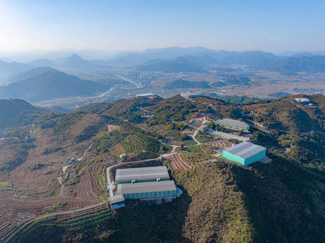 ExplorePingyang's tweet photo. In Mabu town, #Pingyang county, the innovative Pingyang Agricultural Valley designed according to the terrain of the mountains is developing vertically distributed agriculture, generating over 1.3 billion yuan ($182.73 million) annually. Through developing tech-driven and eco-friendly agriculture, branding local agricultural products, and boosting agritourism, Mabu is paving the way for vibrant rural vitalization🌟! #FocusOnPingyang