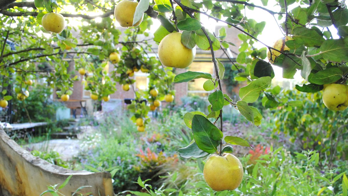 Howbery Business Prk tweet media