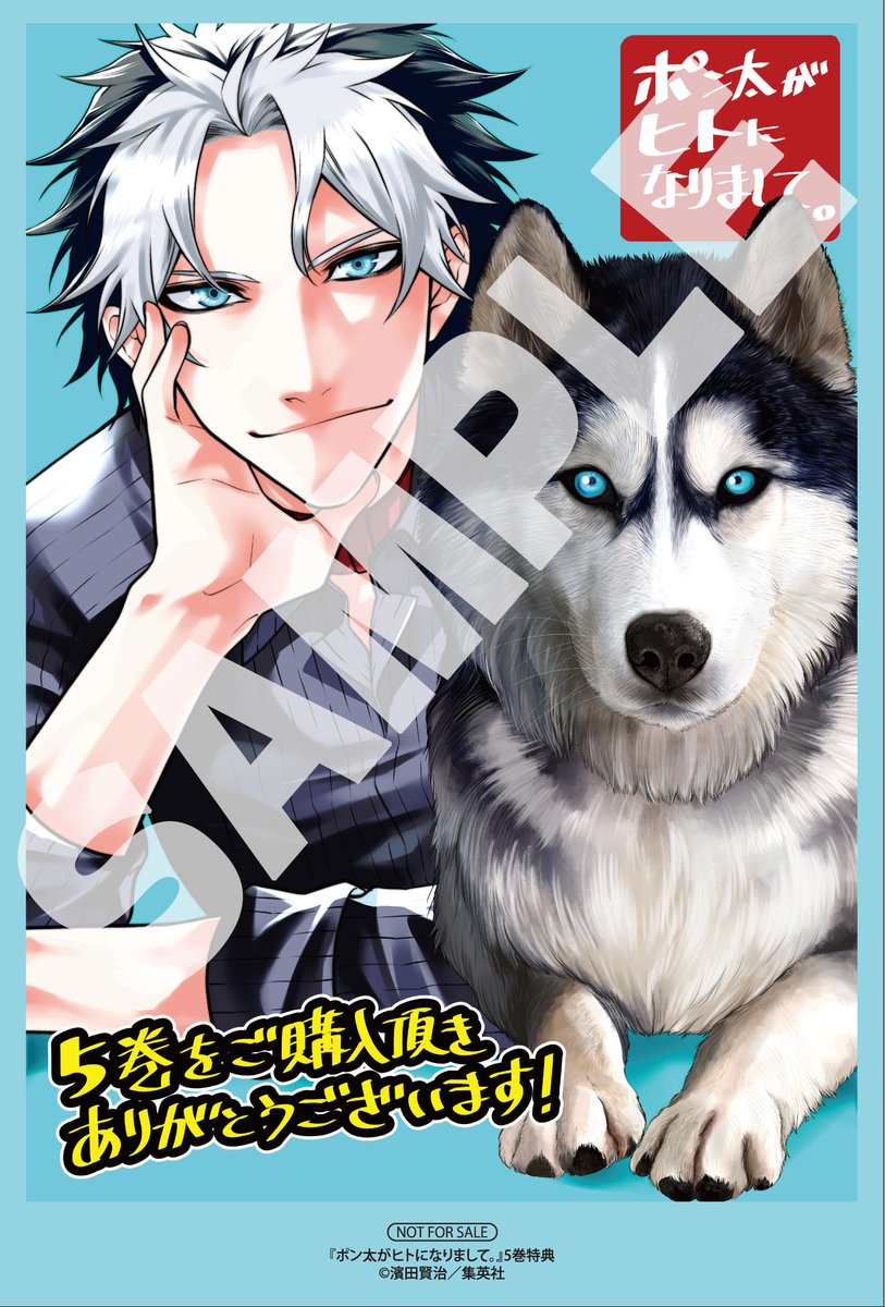 ━━*＼書店配布物のお知らせ📮／*━━ 『 #ポン太がヒトになりまして
