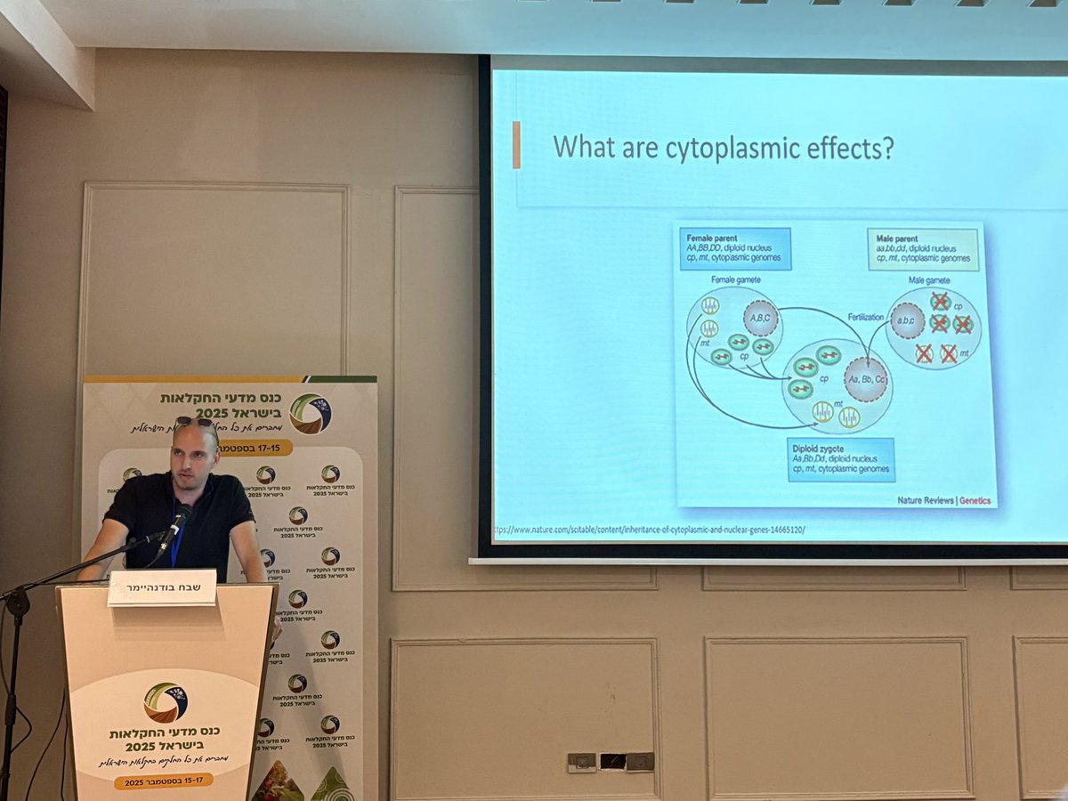 eyal_fridman's tweet photo. @sche_wach showing his recent work on Harnessing cytonuclear diversity to map #barley spike traits using the cytonuclear multi-parent population https://t.co/khCxRBPvfe at the #agricon meeting https://t.co/BZRp8lRcd3