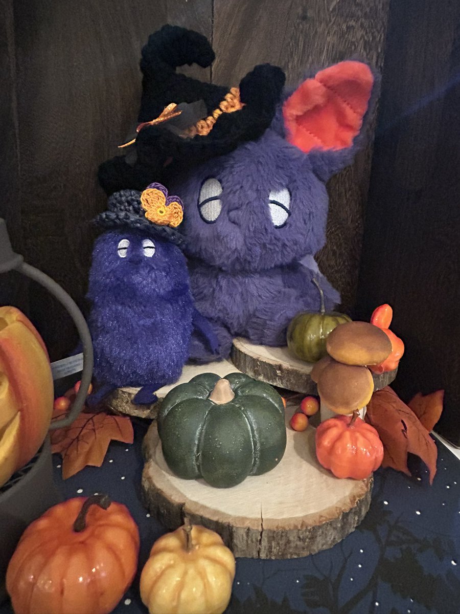 ハロウィンのお帽子GETﾀﾆ〜😚
 #ドールぬい推し活Show