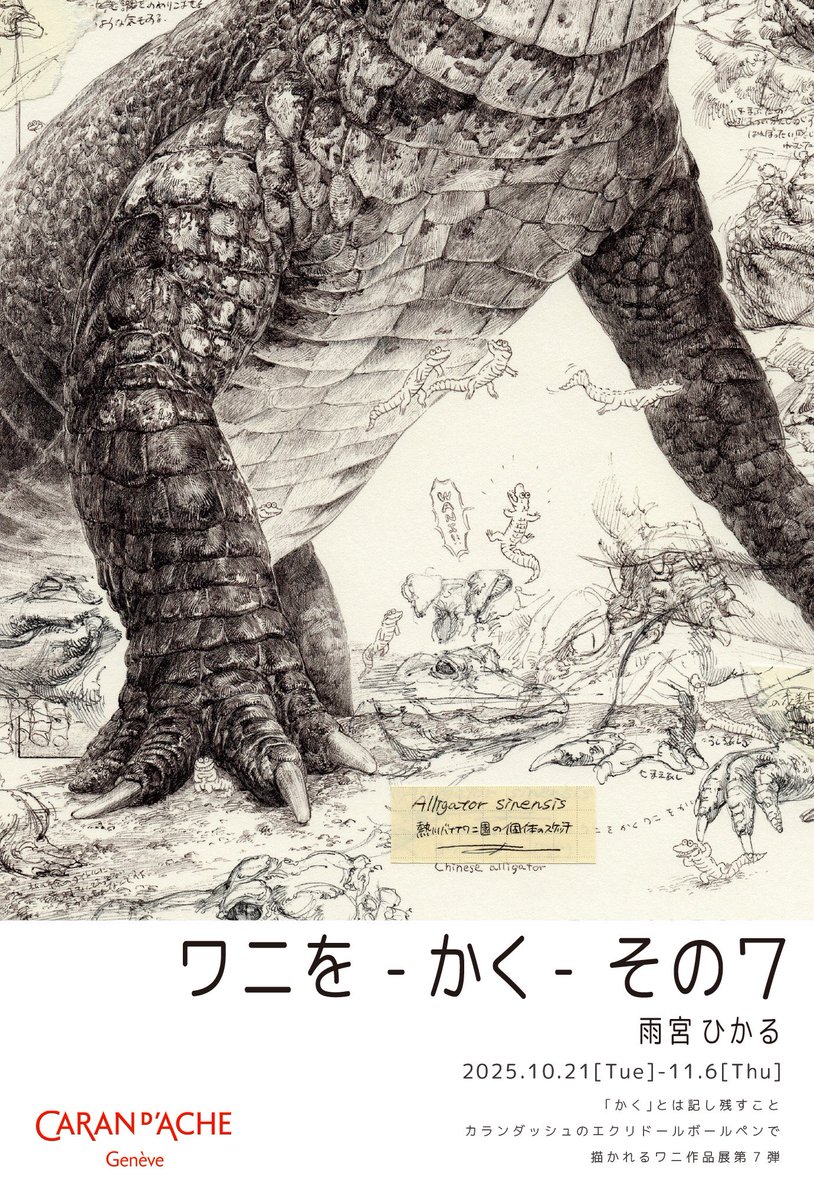 WANIwaniamemi's tweet image. 【🐊個展のお知らせ🐊】
カランダッシュ銀座ブティックで、今年も個展を開催させていただきます。
ワニです！！！！ワニでしかありません！！！！
皆様是非、ゴリっと描いたワニをワニをゴリっと浴びに来てください🐊
詳しくは画像をご覧くださいませ🐊🐊