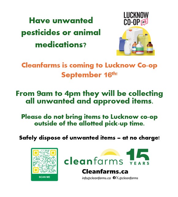 Come on out Today from 9-4!