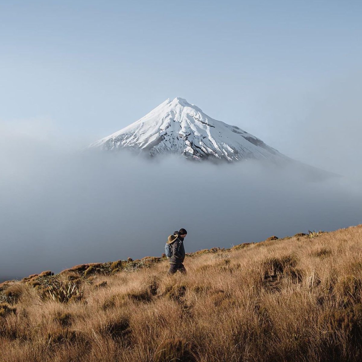 pov: on your way to find the next 100x

lock tf in