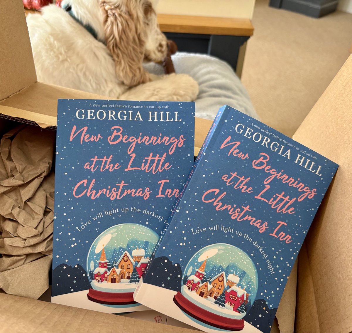 georgiawrites's tweet image. A hugey box of Christmas goodliness just arrived from @Bloodhoundbook and another bee-yoot-i-ful cover 

Holding your own book never gets old #proudauthor #newrelease #newbookalert #christmas romance
 
Ralph-Spaniel approves and can’t wait for you to meet Angel, the springer.