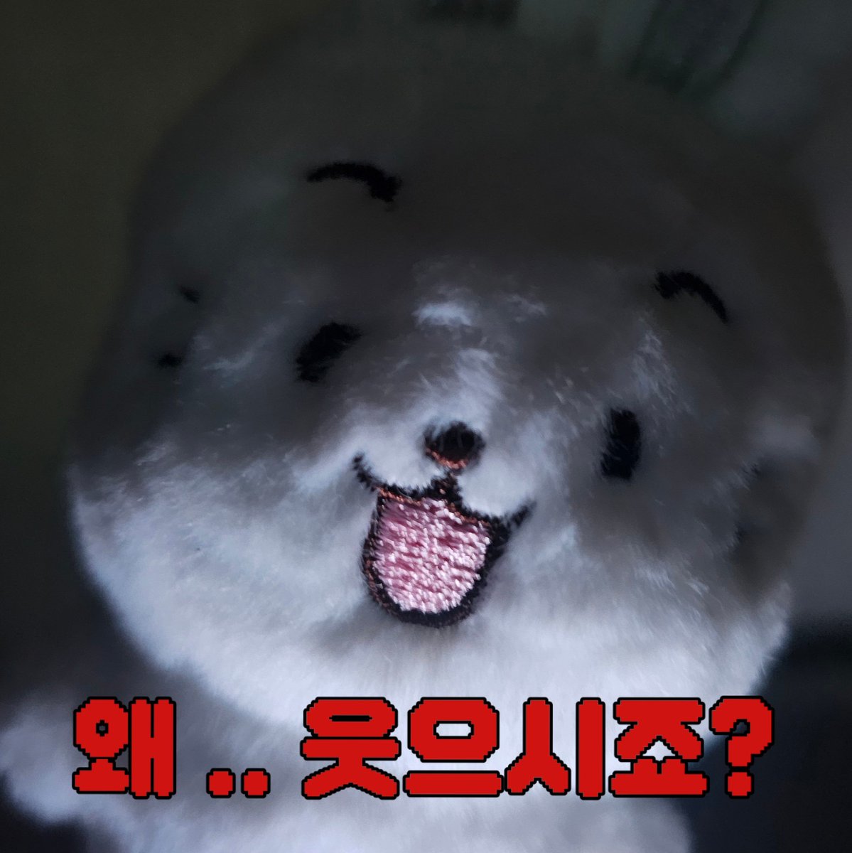 듄끼먀 너 스타다
벌써 짤미 두 개나 샘겼머