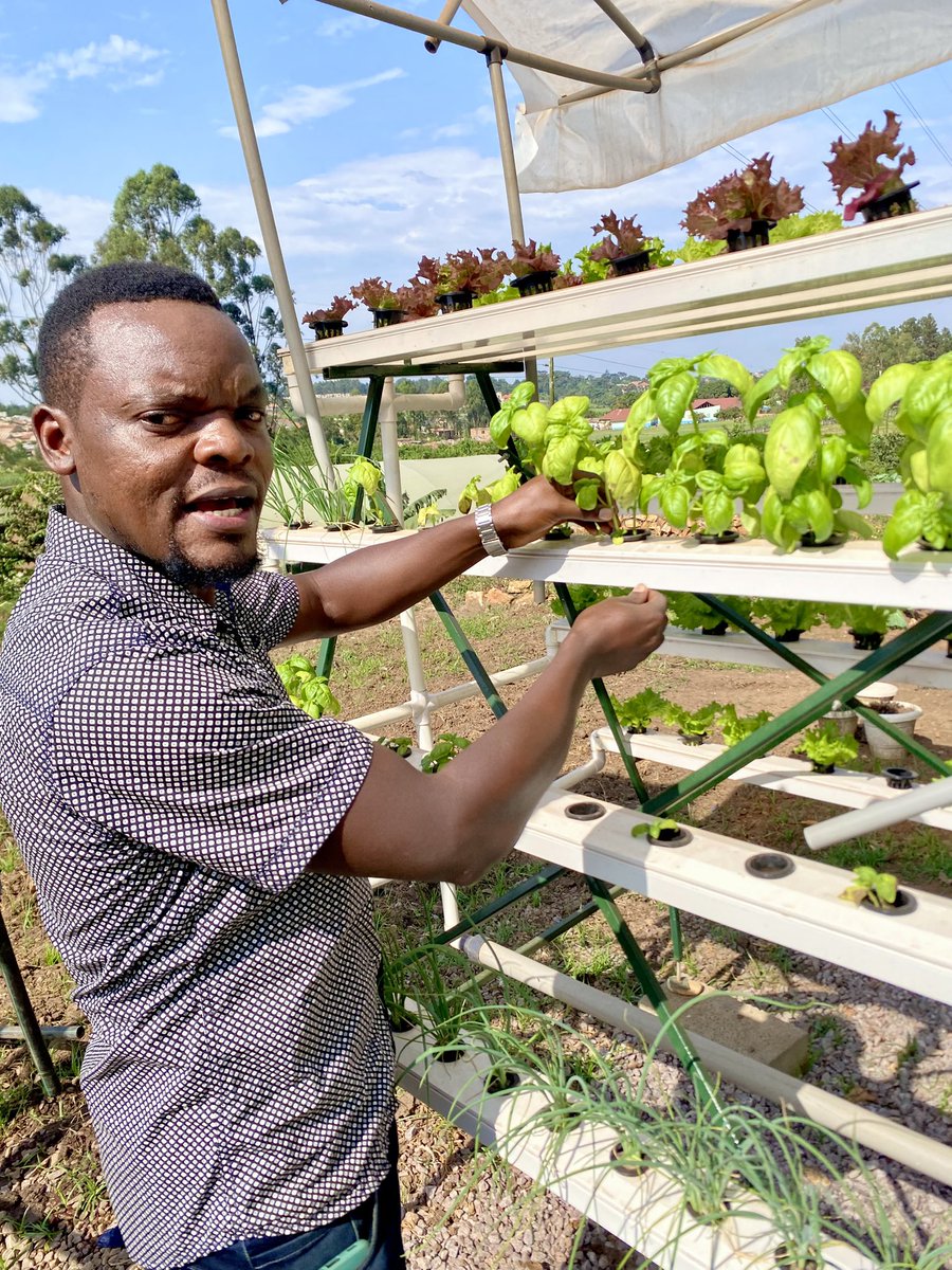 Hydroponics shows us that farming can adapt and survive. With less land and less water, we can still feed many. It’s a new way of farming, filled with hope for future generations. This is farming without limits. 
#Hydroponics #ClimateSmart #InnovationInAgriculture #JoshuaMusasizi